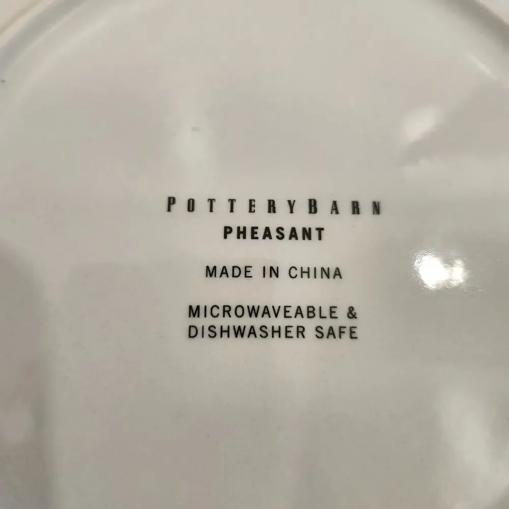Pottery Barn Pheasant Bird Ceramic Plate 9